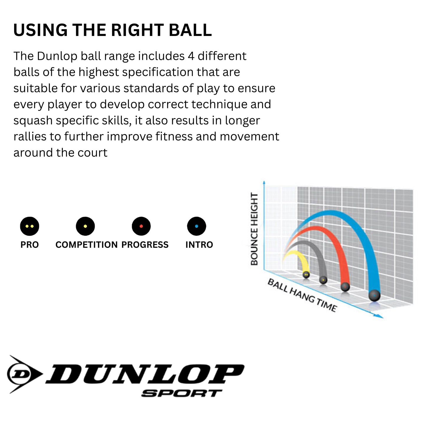 DUNLOP BALL SQUASH PRO DBL YEL BLK (3)
