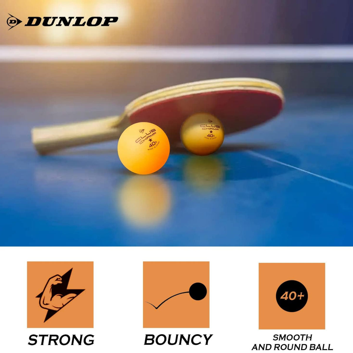 DUNLOP BALL TABLE TENNIS CLUB CHAMP 40+ ORG (6)