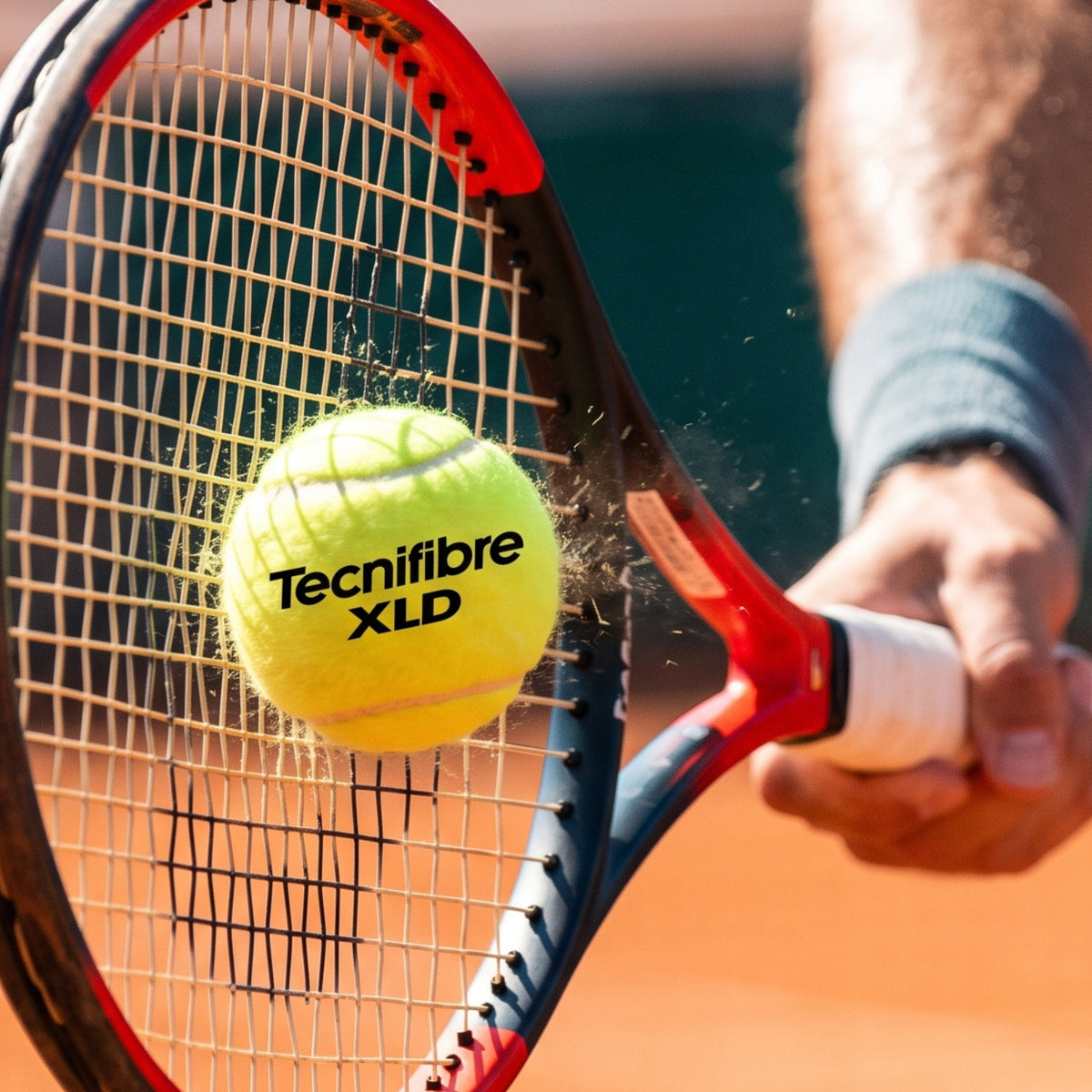 TECNIFIBRE BALL TENNIS XLD PRESSURELESS / CAN (4) (TBD)