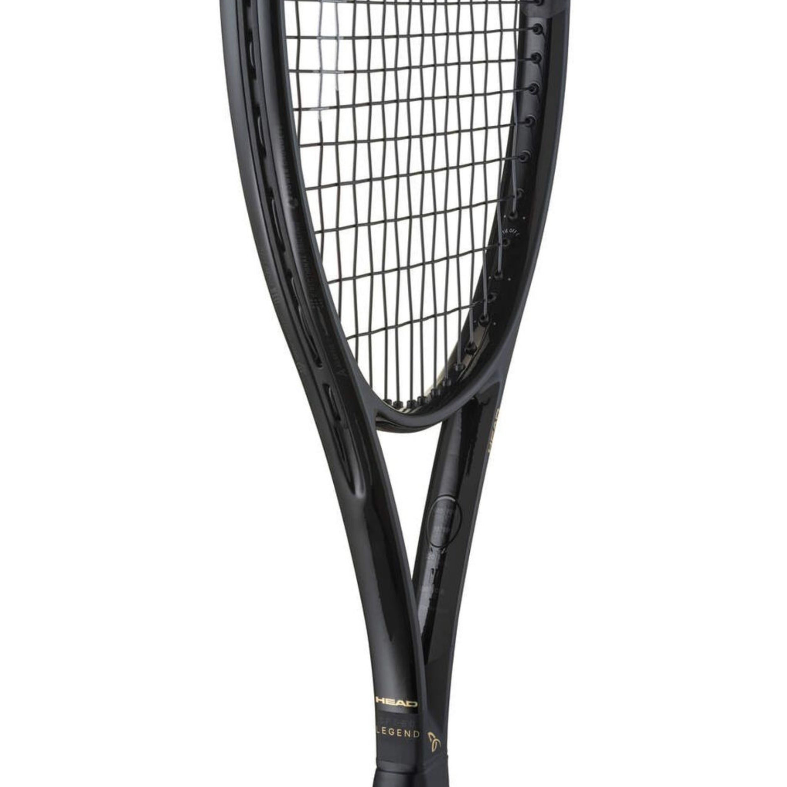 HEAD RACKET SPEED LEGEND MP AUX 2.0 16X19 300G – Baseline Racquets