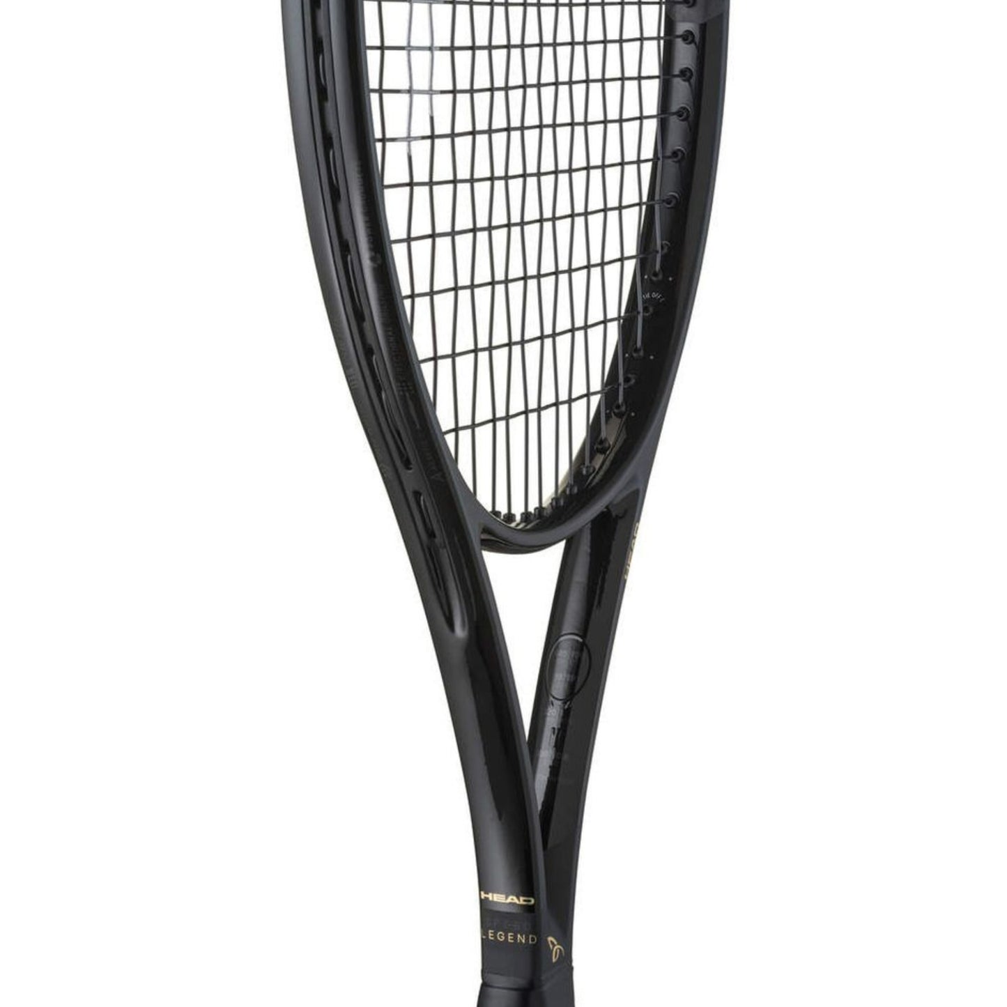HEAD RACKET SPEED LEGEND MP AUX 2.0 16X19 300G