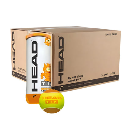 Box of HEAD tennis balls with a single ball in front on a white background