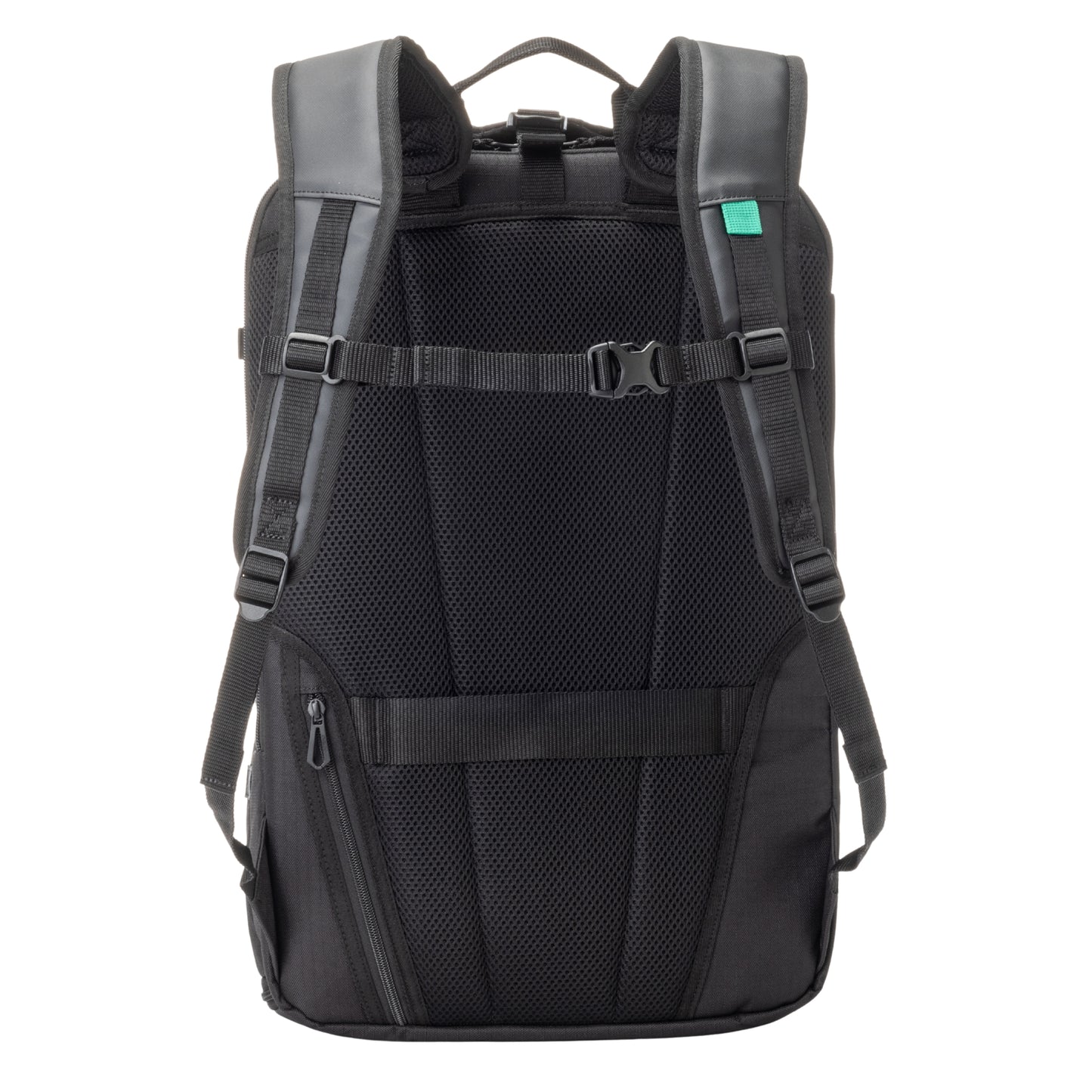Back view of a backpack with gray straps on a white background