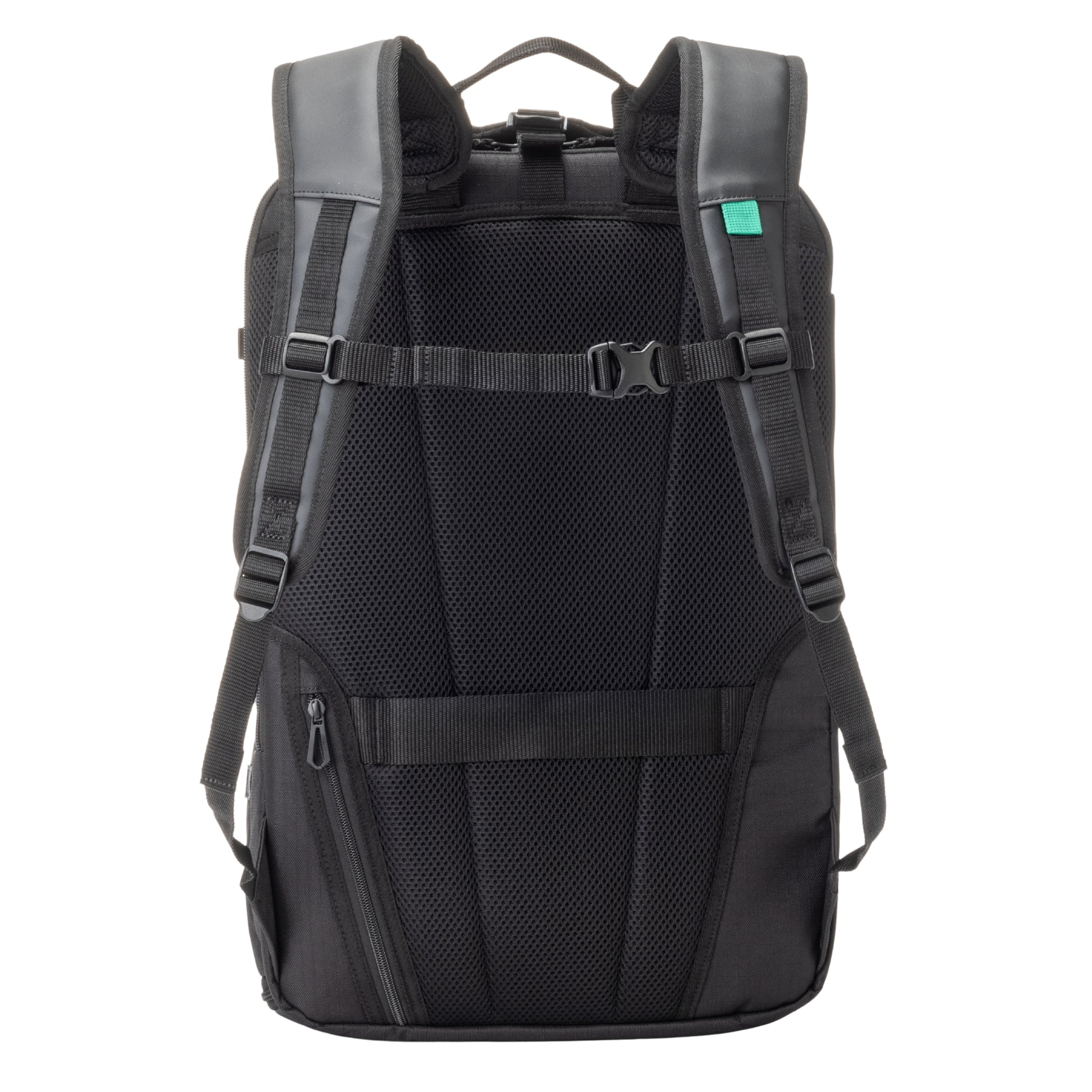 Back view of a backpack with gray straps on a white background