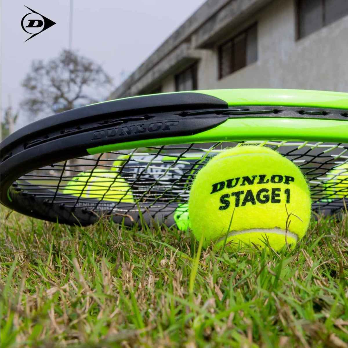 DUNLOP BALL TENNIS STAGE 1 GREEN / CAN (3)