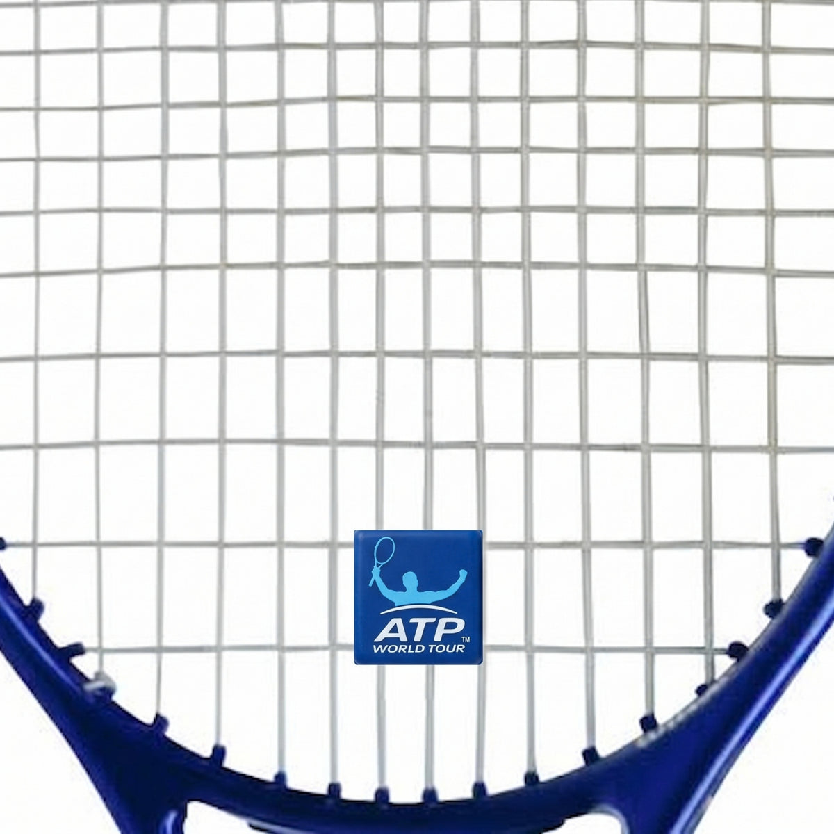 TECNIFIBRE DAMPENER ATP ASSORTED (TBD)